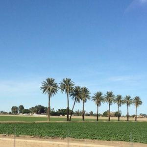 Meet your Posher, Mallory